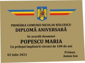 Mapa catifea cu trepied personalizata-100 de ani Diploma aniversara