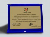 Mapa catifea cu trepied personalizata-Aniversare casnicie