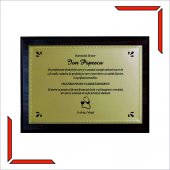 Placheta personalizata Premium - Diploma pensionare doctor 